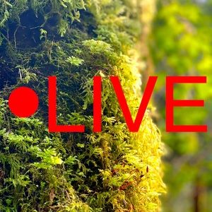 LALA’s First Live Show ❤️ Come Watch Me Fail Miserably 🫠 $3 starts and more 🤗